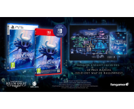 PlayStation Hollow Knight - 1538318 - zdjęcie 2